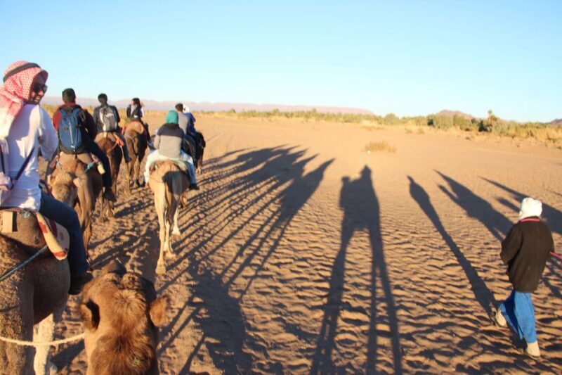 Agadir/Taghazout/Port: Camel Ride Tea & BBQ Option - Introducing the Agadir Camel Ride Experience