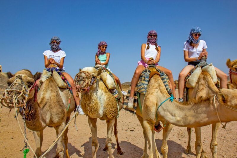Agadir/Taghazout/Port: Camel Ride Tea & BBQ Option - Key Points