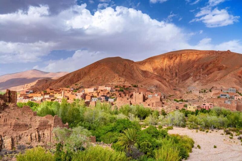 Agadir/Taghazout/Port: Paradise Valley Half-Day Tour & Lunch - Key Points