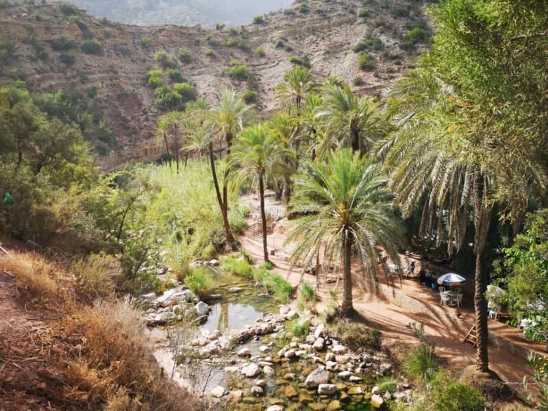 Agadir/Taghazout/Port: Paradise Valley Half-Day Tour & Lunch - Final Thoughts: Who Should Consider This Tour?