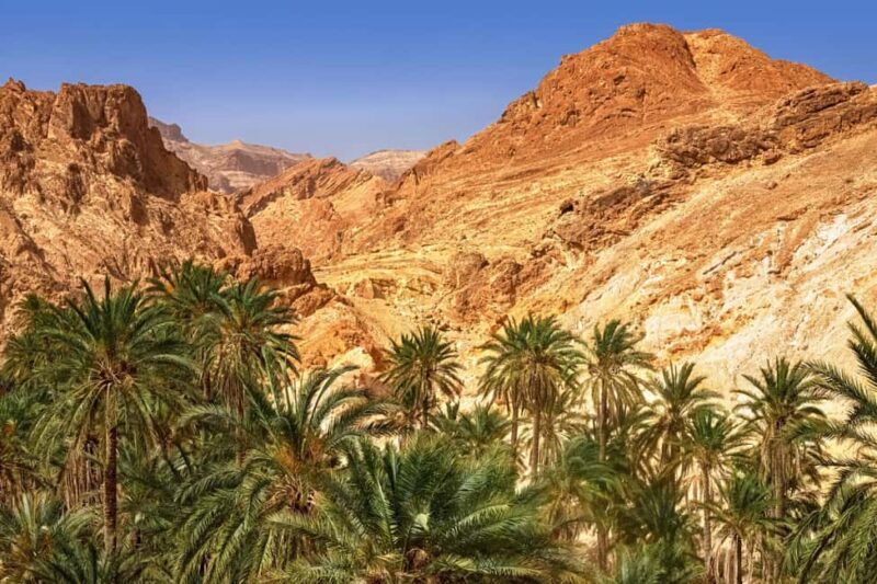 Agadir/Taghazout/Port: Paradise Valley Half-Day Tour & Lunch - FAQs