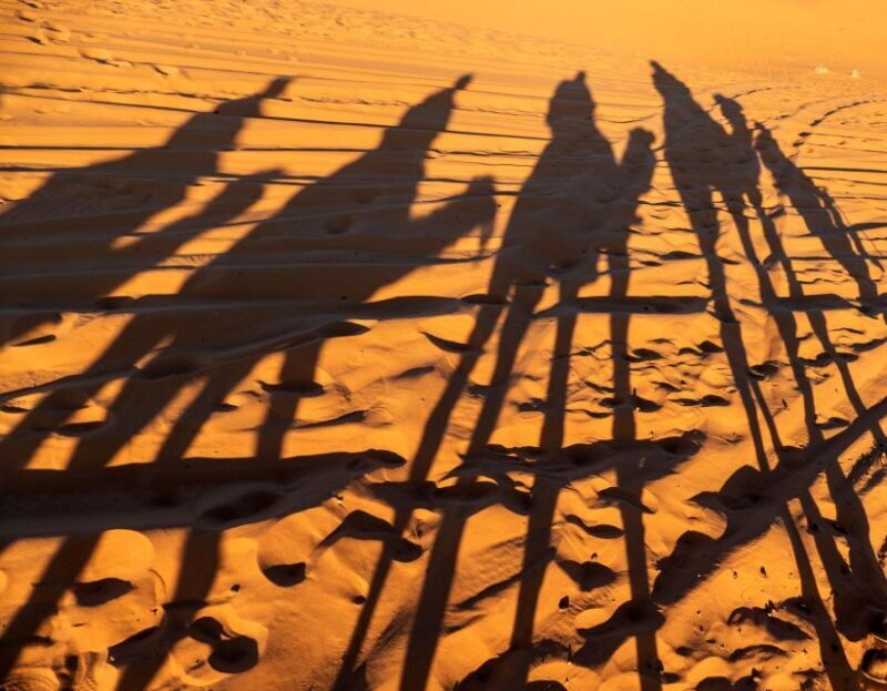 Agadir/Taghazout/Port: Sahara Desert 4x4 Day Trip with Lunch - The Value of This Morocco Mini-Sahara Tour