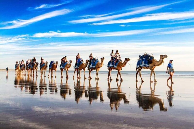 Agadir/Taghazout : Quad Bike & Camel Ride On The Beach - The Itinerary: What You Can Expect