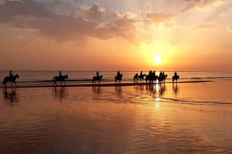 Agadir/Taghazout : Quad Bike & Horse Ride On The Beach - Key Points
