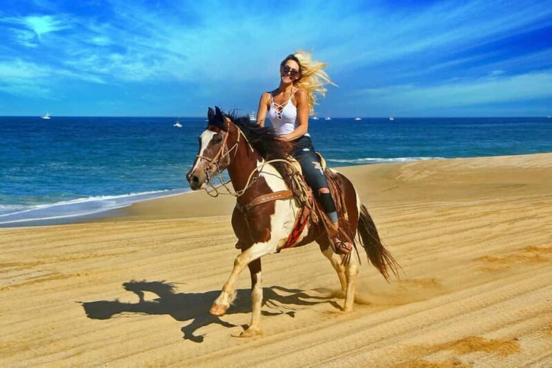 Agadir/Taghazout : Quad Bike & Horse Ride On The Beach - Introduction: A Blend of Fun and Natural Beauty