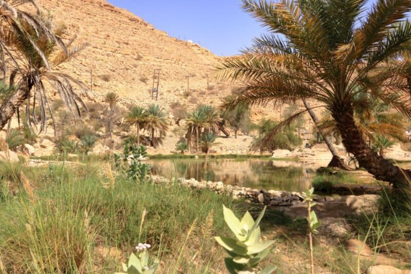 Agadir/Taghazout/Tamraght: Paradise Valley Best Tour - The Sum Up