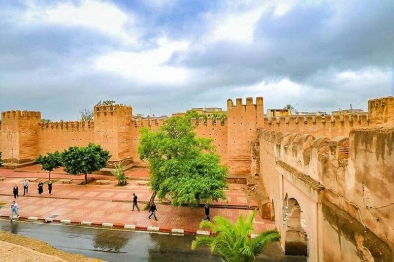 Agadir: Taroudant Oasis and Tiout Day Trip with Lunch Option - A Deeper Look at the Tour Itself