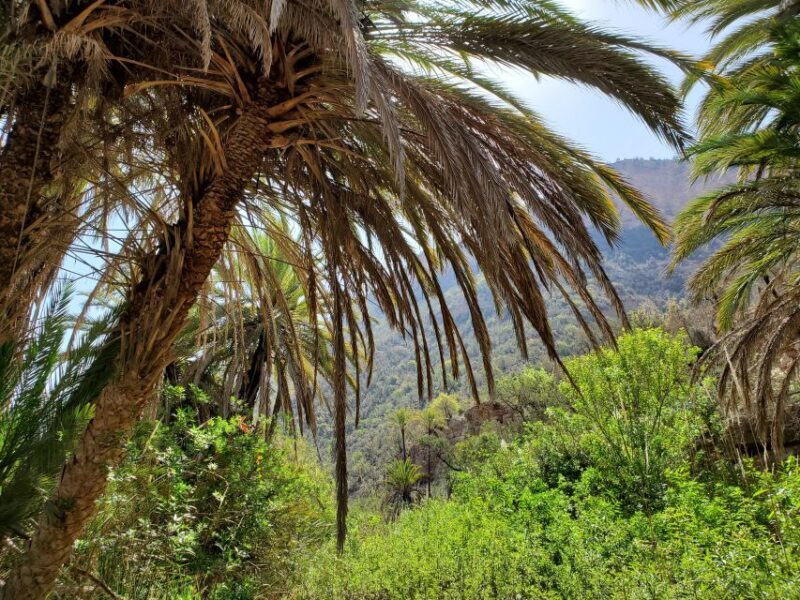 Agadir: Timlaline Desert & Paradise valley with camel ride - Discover the Magic of the Timlaline Desert & Paradise Valley from Agadir