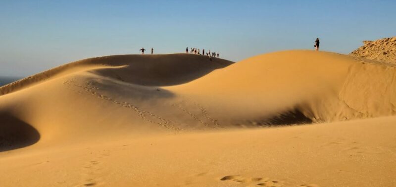 Agadir: Timlaline Desert & Paradise valley with camel ride - Key Points