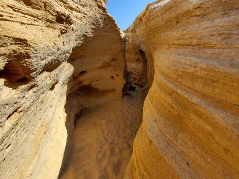 Agadir: Timlaline Desert & Paradise valley with camel ride - Final Thoughts