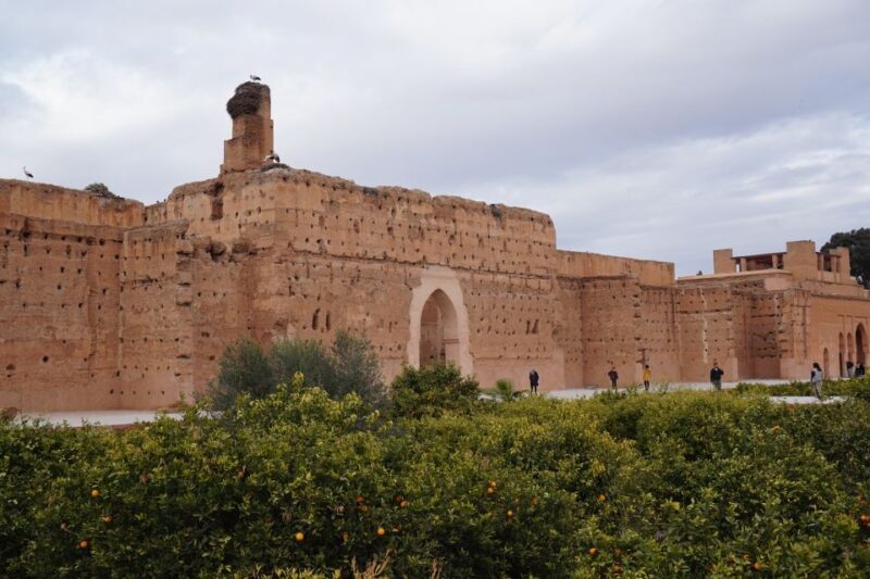 Agadir To Marrakech Day Trip With Amazing Tour Guide - Key Points
