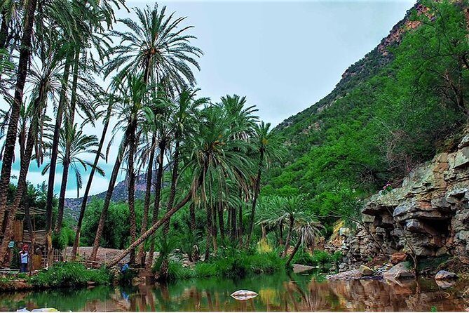 Agadir Trip To Paradise Valley - Swimming in the Natural Pool and Mountain Views