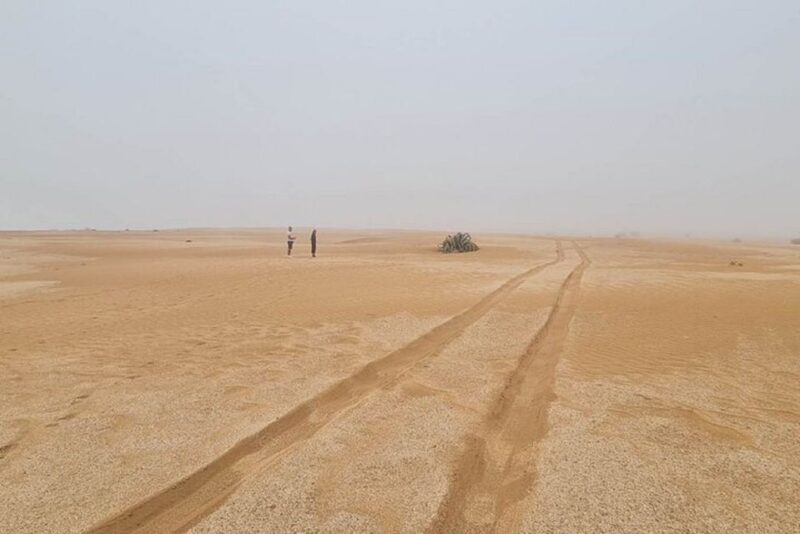 Agadir: Visit National park & Sahara Desert Including Lunch - Final Thoughts