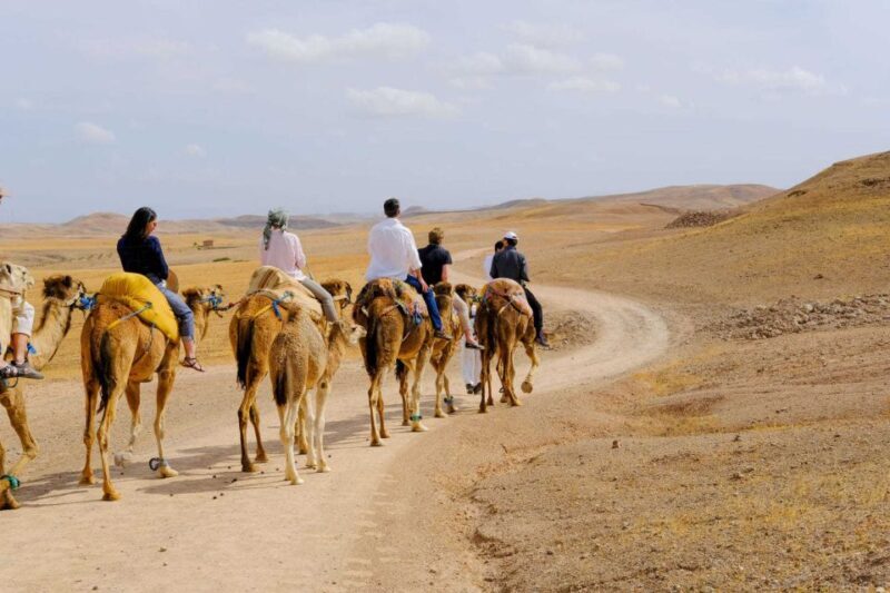Agafay and atlas: Quad and camel experience - What to Expect from the Agafay and Atlas Quad and Camel Tour