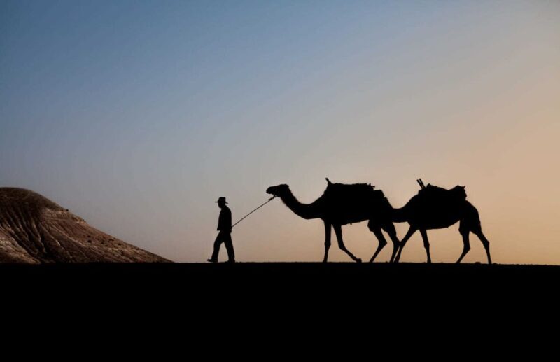 Agafay and atlas: Quad and camel experience - Final Thoughts: Is This Tour Worth It?