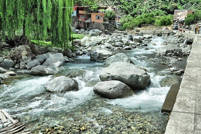 Agafay Camel Ride & Ourika Valley in Atlas mountains - Authenticity and Value: What the Reviews Say