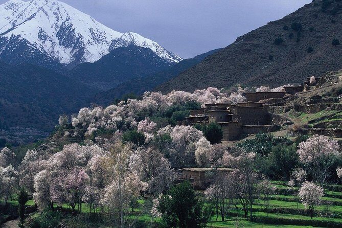Agafay Camel Ride & Ourika Valley in Atlas mountains - Frequently Asked Questions