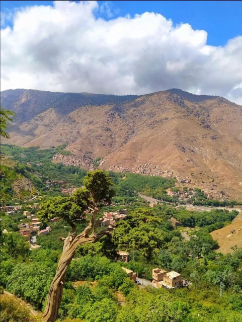 Agafay Desert & Atlas Mountain & Camel Ride Day Trip & Lunch - Final Thoughts
