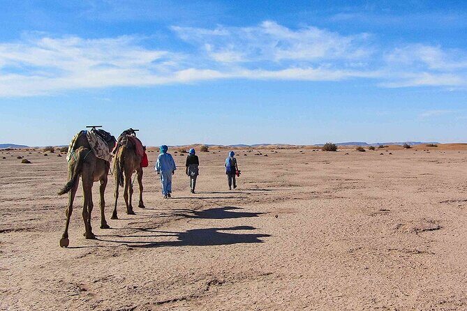 Agafay Desert, Atlas Mountains and Camel ride Day Trip from Marrakech - The Sum Up