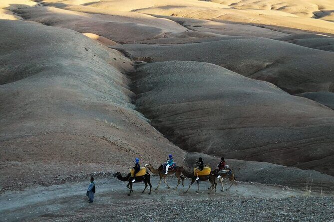 Agafay Desert, Atlas Mountains and Camel Ride Trip from Marrakech - Price and Value