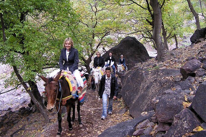 Agafay Desert, Atlas Mountains and Camel Ride Trip from Marrakech - FAQ Section