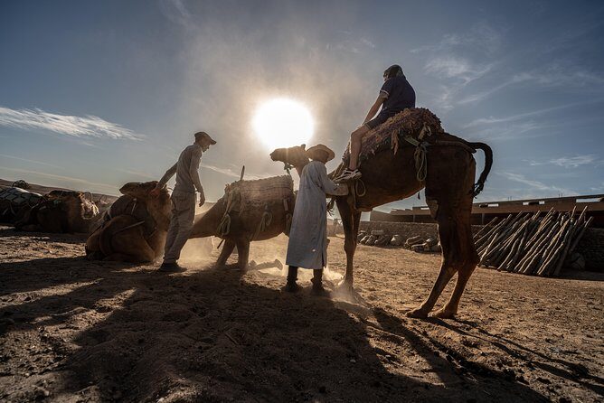Agafay Desert Camel Experience with snack from Marrakech - The Unique Appeal of Agafay