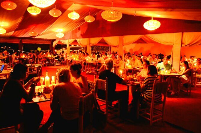 Agafay Desert ,camel ride & Dinner Show - Why This Experience Might Be Perfect for You
