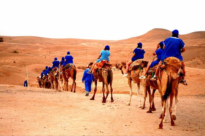 Agafay Desert ,camel ride & Dinner Show - Final Thoughts