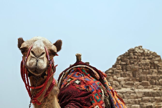 Agafay Desert Camel Ride - Half Day Trip - private tour - FAQ