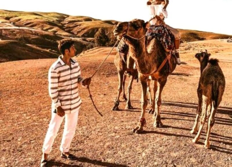 Agafay Desert Camel Ride & Sunset & Dinner - Practicalities and Value