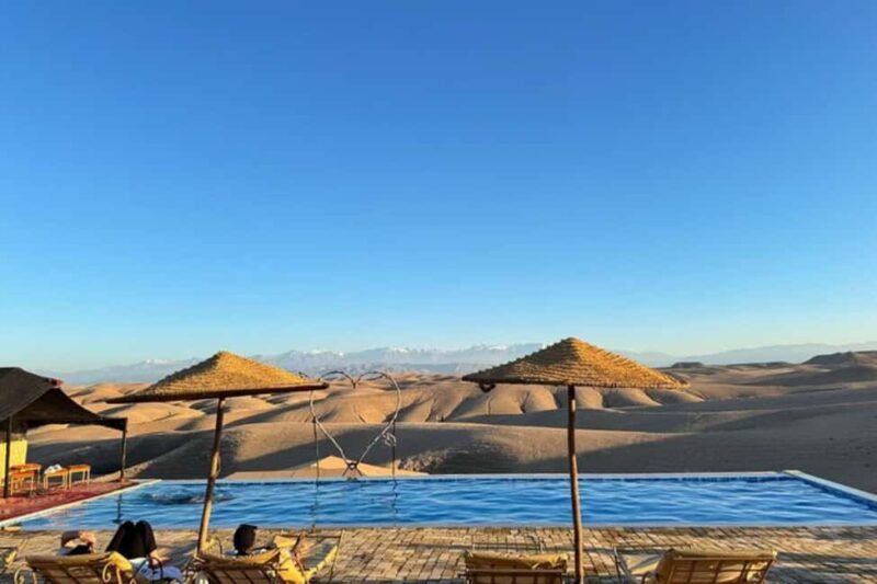Agafay Desert Day: Quad Bike, Lunch & Swim Adventure - Camel Ride: A Gentle Stroll Through the Desert