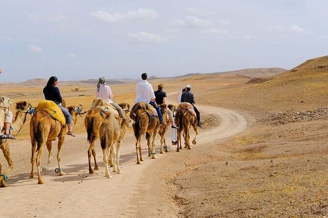 Agafay Desert Day Trip & Atlas Mountains with Camel Ride - What Travelers Are Saying