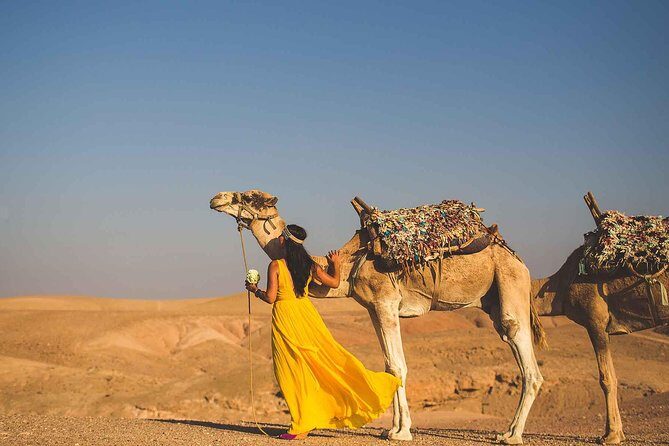 Agafay Desert Day Trip From Marrakech & Camel Ride - Who This Tour Is Perfect For
