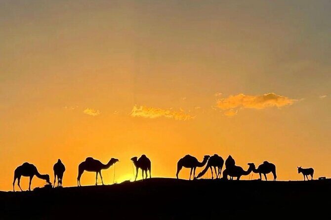 AGAFAY DESERT: Dinner, Camel Ride, Berber Camp , Sunset - The Sum Up
