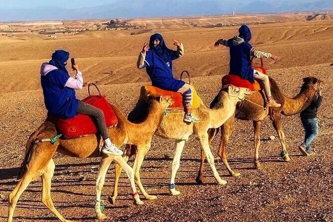 Agafay Desert dinner & camel ride with show - Authenticity and Customer Feedback