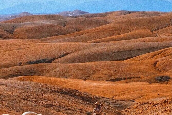 Agafay Desert: Dinner + Show with Quad Bike & Sunset Camel Ride - Who Should Consider This Tour?