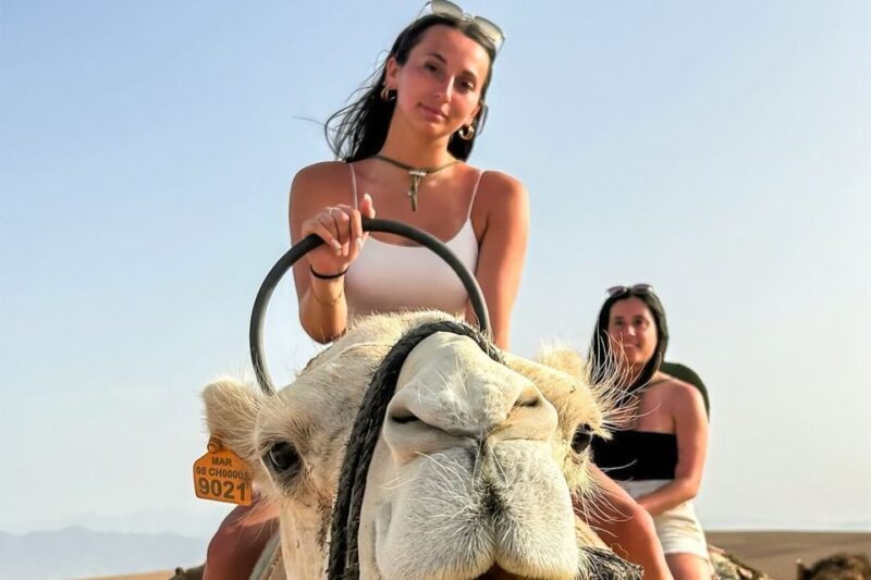 Agafay Desert Escape: Sunset Dinner, Pool & Quad/Camel - How the Tour Unfolds: A Step-by-Step Look