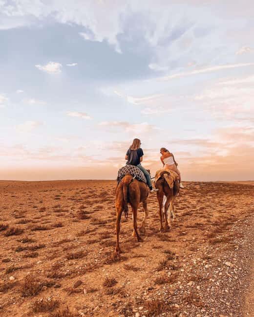 Agafay Desert Escape: Sunset Dinner, Pool & Quad/Camel - Value and Pricing