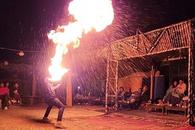 Agafay Desert from Marrakech: Quad bike, Camel ride, Dinner show - Who Will Love This Tour?