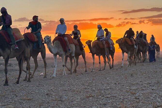 Agafay Desert Luxury, Quad, Camel, Pool, Dinner Show and Concert - Key Points