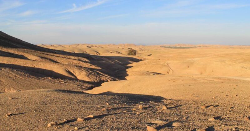 Agafay Desert: Magical Half-Day Lunch with Pool Swim - The Sum Up