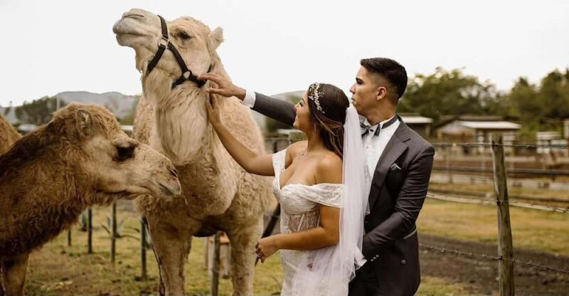 Agafay Desert Moroccan Luxury Wedding Ritual-Full Experience - FAQ