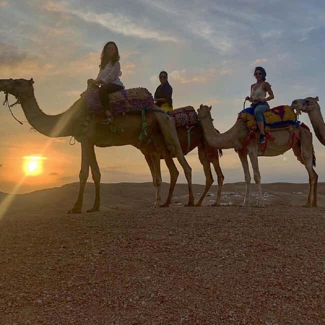 Agafay Desert Package, Quad Bike, Camel Ride and Dinner Show - The Experience in Detail: What to Expect and Why It Matters