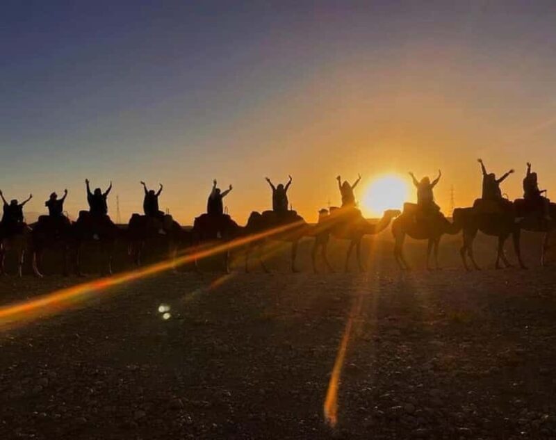 Agafay Desert Package, Quad Bike, Camel Ride and Dinner Show - Who Will Love This Tour?
