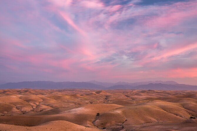 Agafay Desert Package, Quad Bike, Camel Ride and Dinner Show - Who Should Consider This Tour?