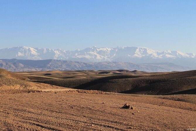 Agafay Desert Package, Quad Bike, Camel Ride and Dinner Show - What Reviewers Love Most
