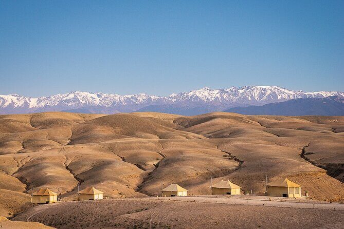 Agafay Desert Package, Quad Bike, Camel Ride and Dinner Show - Final Thoughts: A Solid Choice for a Marrakech Outing