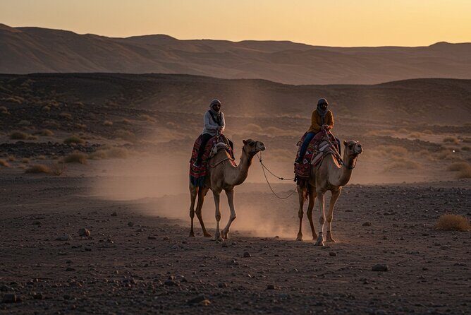 Agafay Desert Package, Quad Bike, Camel Ride with Dinner Show - The Sum Up: Is It Worth It?
