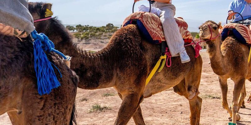 Agafay Desert Paintball Adventure & Optional Camel Ride Quad - Dining Options and Timing