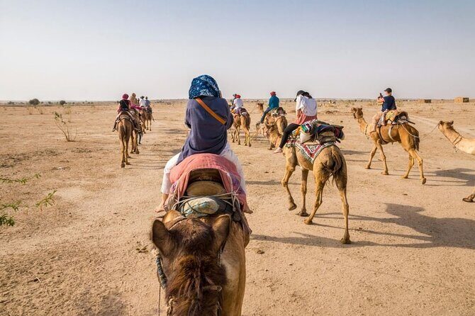 Agafay Desert pool day pass ( Pool + Lunch + pick-up) - Authentic Moroccan Adventure: Agafay Desert Pool Day Pass Review